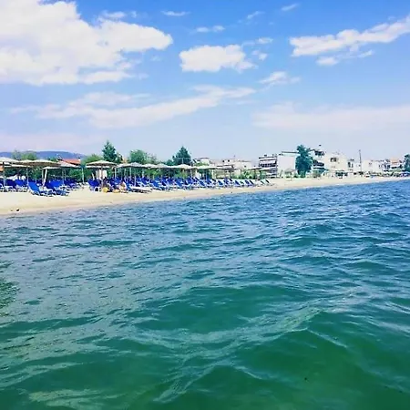 Tom's House 別荘 *