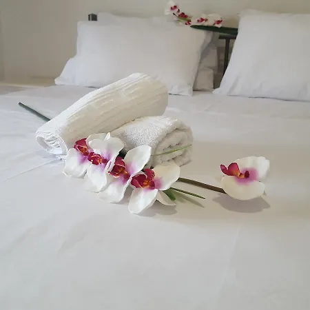 Tom's House ネア・カルヴァリ