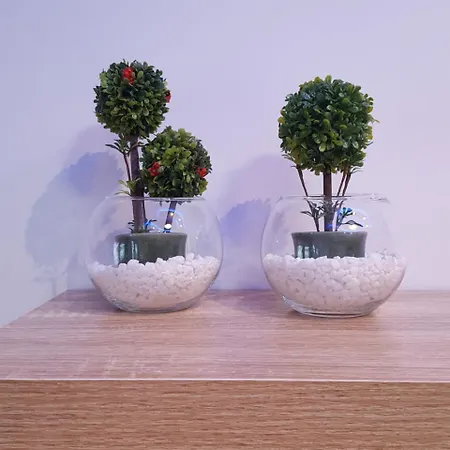 Tom's House 別荘 *