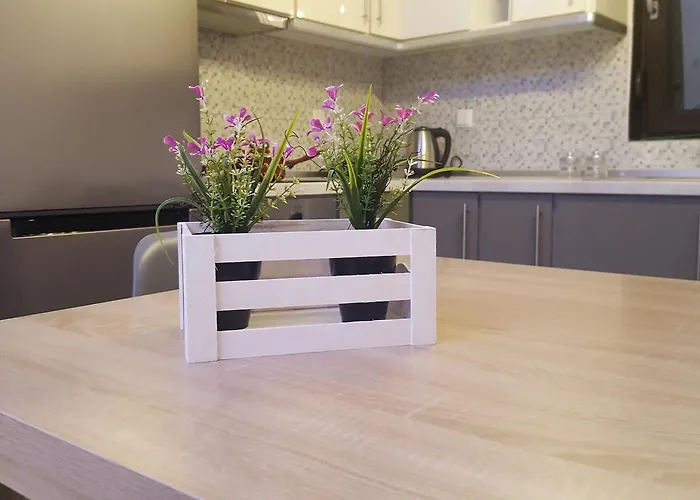 Tom's House Сasa de vacaciones Nea Karvali