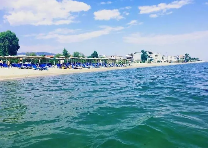 Tom's House 펜션 *