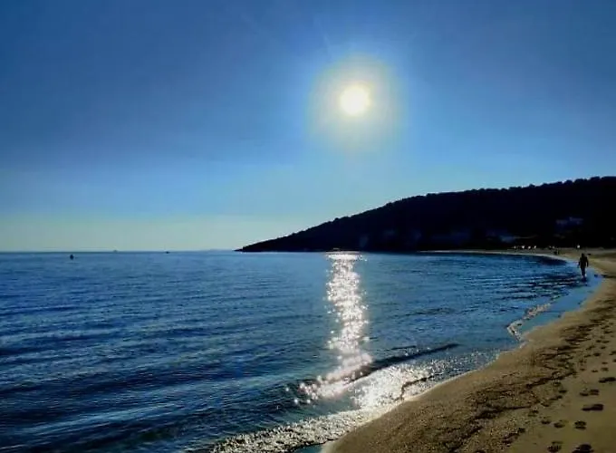 Tom's House 펜션 네아 카르발리