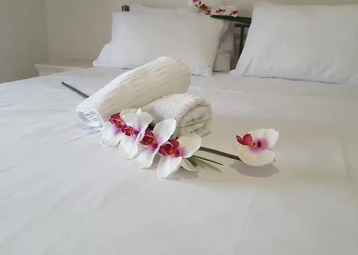 Tom's House 네아 카르발리