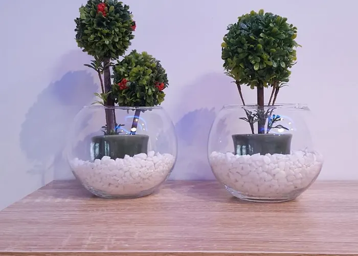 Tom's House Vakantiehuis *